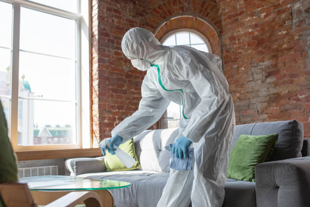 Mold Remediation for Rental Properties in Ocoee, FL