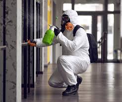 Mold Remediation for Vacation Homes in Ocoee, FL